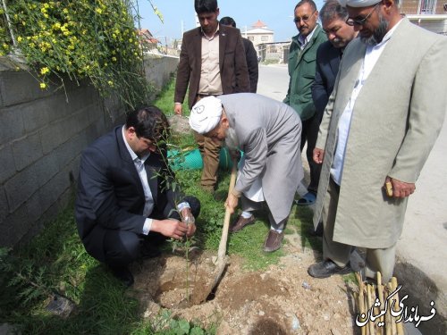 کاشت نهال توسط بخشدار گلدشت به مناسبت هفته منابع طبیعی