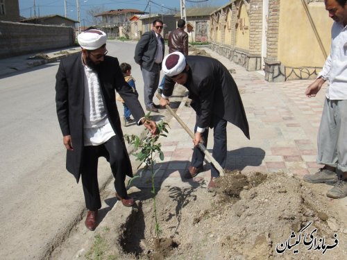 کاشت نهال توسط بخشدار گلدشت به مناسبت هفته منابع طبیعی