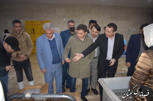 بازدید هیات تجاری - اقتصادی استان منگستائو جمهوری قزاقستان از مزرعه میگو گمیشان