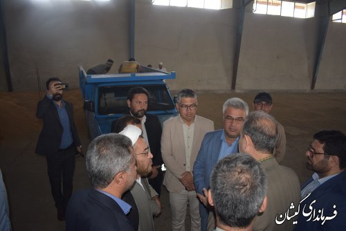 آمادگی تعاون روستایی برای خرید تضمینی گندم شهرستان گمیشان