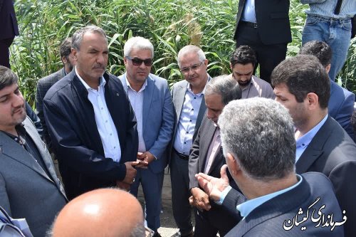  بازدید اعضا کمیسیون عمران مجلس و مدیران وزارت راه و شهرسازی از شهرستان گمیشان 