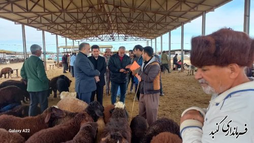 بازدید معاونین استاندار گلستان از بازار دام گنبدکاووس