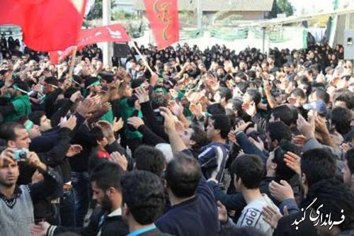 مردم گنبد کاووس در سالروز شهادت امام رضا (ع) عزاداری کردند