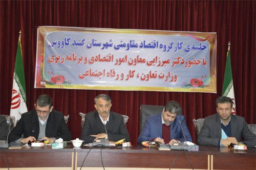 گنبدکاووس ظرفیت های زیادی برای ورود سرمایه گذاران دارد