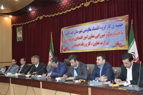 گنبدکاووس ظرفیت های زیادی برای ورود سرمایه گذاران دارد