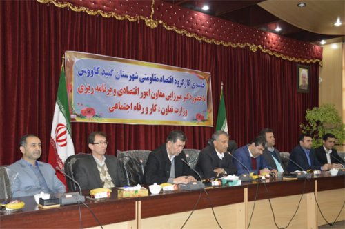 گنبدکاووس ظرفیت های زیادی برای ورود سرمایه گذاران دارد